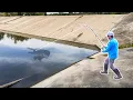 Download Lagu GIANT Fish are TRAPPED in this CONCRETE PIT!!! (BIGGEST in 5 YEARS!)