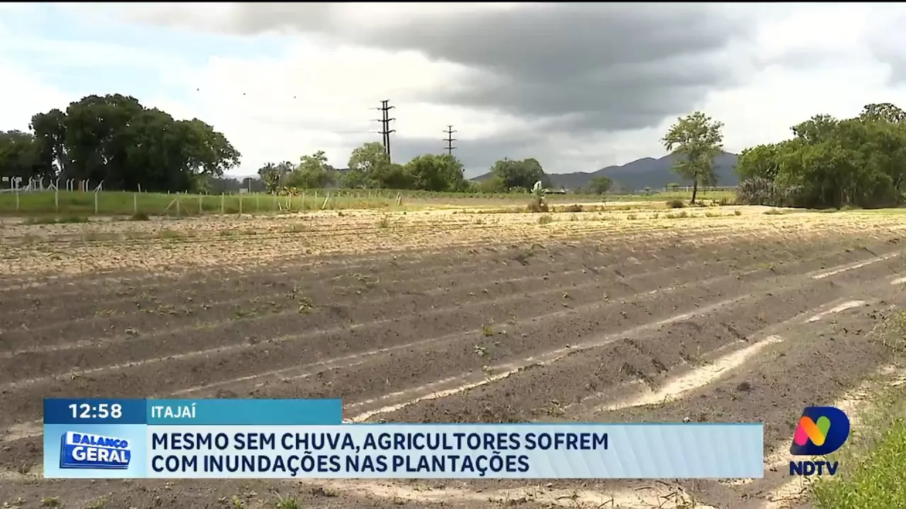 Mesmo sem chuvas agricultores de Itajaí têm prejuízos milionários