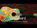 JOSH WOODWARD  I'll Be Right Behind You Josephine