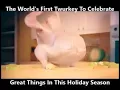 Twerking Turkey will werk
