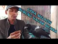 Download Lagu MELATIH BURUNG GAGAK CEPAT BICARA ALLAHU AKBAR @amdghani3400