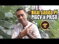 Download Lagu Nilai Ganda Pi :  PIGCV \u0026 PIUSD Ciptakan Keseimbangan Pi di Masa Depan 
