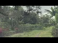Download Lagu NGANTERIN TAMU KE RUMAH PAK RASTAM