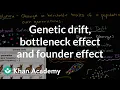Genetic drift bottleneck effect and founder effect Biology Khan Academy