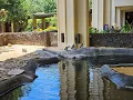 Hyatt Regency Maui Resort and Spa Review