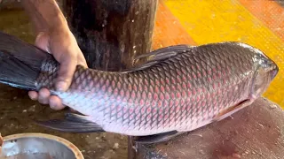 Amazing Fish Cutting Skills | Big Rohu Fish Cutting In Fish Market