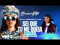 Download Lagu Anitta MC Danny E Ritmaker - Sei Que Tu Me Odeia ( Áudio Oficial )