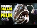 Download Lagu Kenapa Hidupan Lautan Dalam Sangat Pelik \u0026 Menyeramkan?