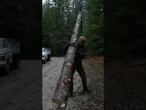 Turning a Tree into a Trailer