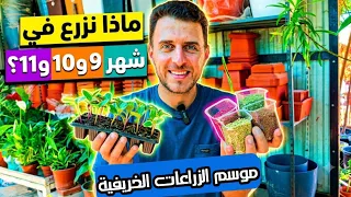 محاصيل الخريف الذهبية : ما تزرع في اشهر 9 و 10 و 11 والمحصول خيالي؟