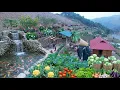 Lagu Spring Market Goes CRAZY 😱 | Massive Cabbage Harvest, Sold Out Fast | Wood, Stone \u0026 Flowers Farm