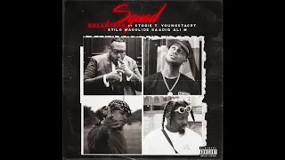 dreamtrax squad ft stogie t youngstacpt stilo magolide and saadiq ali m clean version 