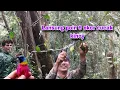 Download Lagu MIKAT BURUNG CUCAK KINOY, Pecah rekor sekali turun 10 ekor...