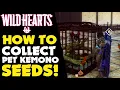 PET KEMONO SEEDS GUIDE in WILD HEARTS Wild Hearts PS5 Gameplay