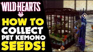 PET KEMONO SEEDS GUIDE in WILD HEARTS Wild Hearts PS5 Gameplay