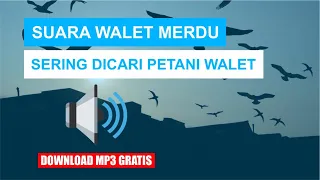 Download SUARA WALET MERDU PALING SERING DICARI PETANI WALET. MP3