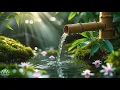 Relaxing Music  Soothing Water Sounds • Healing Of Stress • Remove Insomnia Forever.