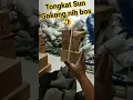Download Lagu Tongkat sun gokong terbang wkwkw #short #shorts