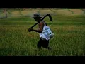Download Lagu AILEBA - Jino da Costa