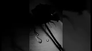 اهنگ علی زارعی هم اتاقی 