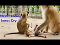 Download Lagu Never Cried...The Busy \u0026 Cute Baby Jonas Monkey Not Always Be Weak Or Scream Like Other Babies