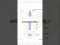 Download Lagu a silly song i made called miffy cafe 🐰 #cute #music #silly