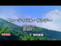 『ビューティフル・サンデー』　田中星児　🌈　"Beautiful Sunday" by Seiji Tanaka