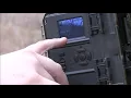 Barn Owl Camera setup