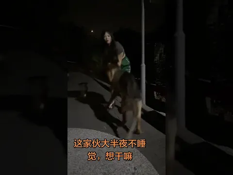🌙大半夜被拽出门遛狗！这狗子精神头比我还足，吹着晚风晃悠太爽了谁懂🤣 #夫妻日常 #半夜遛大狗 #夜晚和我的狗子