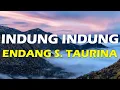 Indung Indung - Endang S. Taurina | Lirik