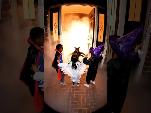 They Wanted Candy... They Got a Giant Spider Dog Instead ππ·οΈ