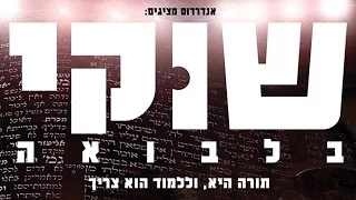 אנדרדוס שוקי בלבואה 