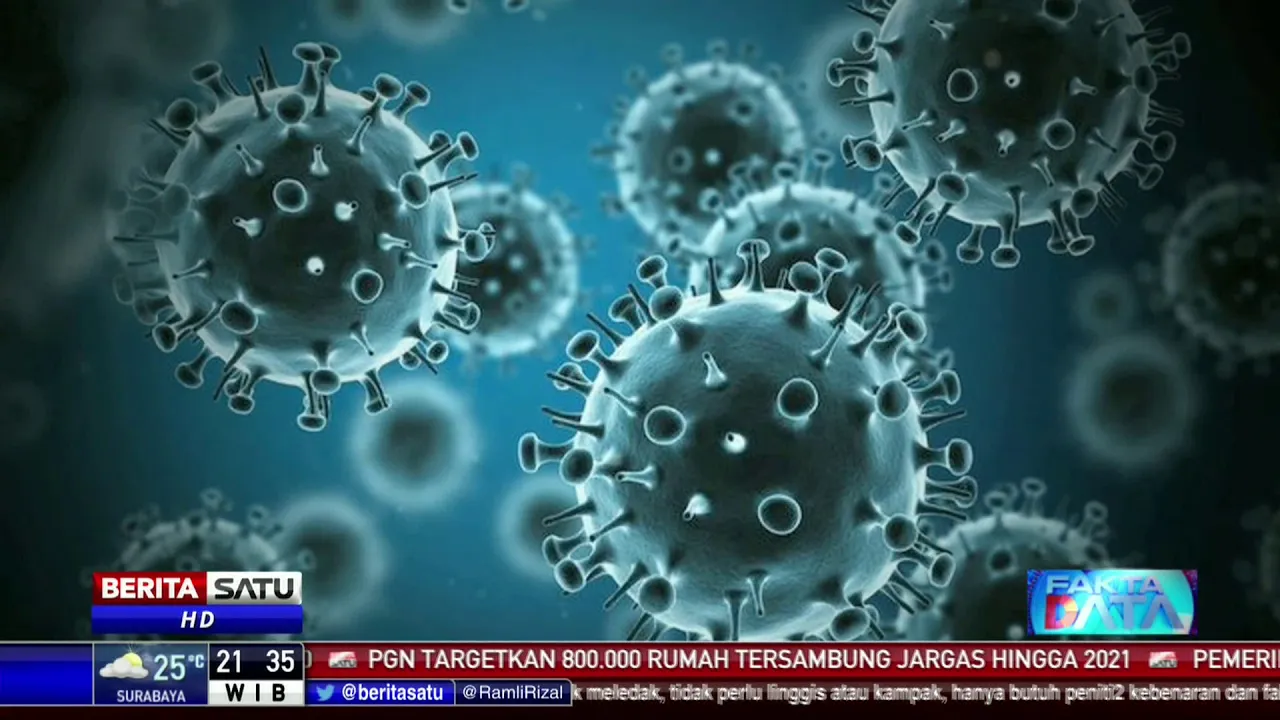 Update Corona 10 Desember: 598.933 Positif, 491.975 Sembuh, 18.336 Meninggal Dunia. 