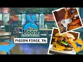Blue Moose Burgers Wings Review Best Wings In The Smoky Mountains