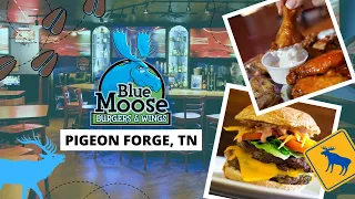 Blue Moose Burgers Wings Review Best Wings In The Smoky Mountains