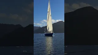 Are we crazy? Sailing through icebergs  #sailing