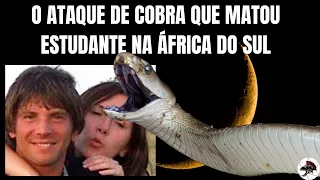 o ataque de cobra mamba negra que matou estudante na frica do sul bi logo henrique