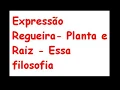 Expressão Regueira- Planta e Raiz - Essa filosofia