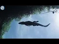 Wild Pantanal – Kingdom of the Most Dangerous Predators You’ve Ever Seen | Nature Animal Documentary