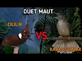 Lagu DUET MAUT MASTERAN KOMBINASI CILILIN VS KAPAS TEMBAK | MASTERAN CILILIN VS KAPAS TEMBAK JERNIH