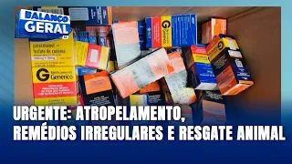 Giro de Notícias: remédios ocultos, atropelamento e 150 animais resgatados