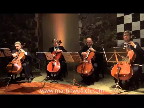 VIOLONCELLOS ARGENTINOS - www.martinwullich.com