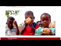 How to Navigate the CALS International Programs Website