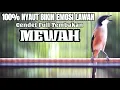 Download Lagu MASTERAN BURUNG CENDET TEMBAKAN MATERI KOMPLIT COCOK BUAT ISIAN CENDET ANDA