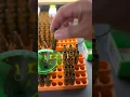 300 Win Mag Reloading 175 Grain Load