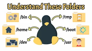 Linux File System Structure Explained From to usr Linux Basics