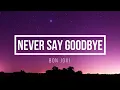 NEVER SAY GOODBYE - Bon Jovi LYRICS+COVER by IWONK NYANG KEWONG