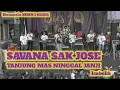 Download Lagu SAVANA SAK JOSE - TANJUNG MAS NINGGAL JANJI #diesnatalisSMKN1GEGER #laguviral #savanamusic #smkbisa