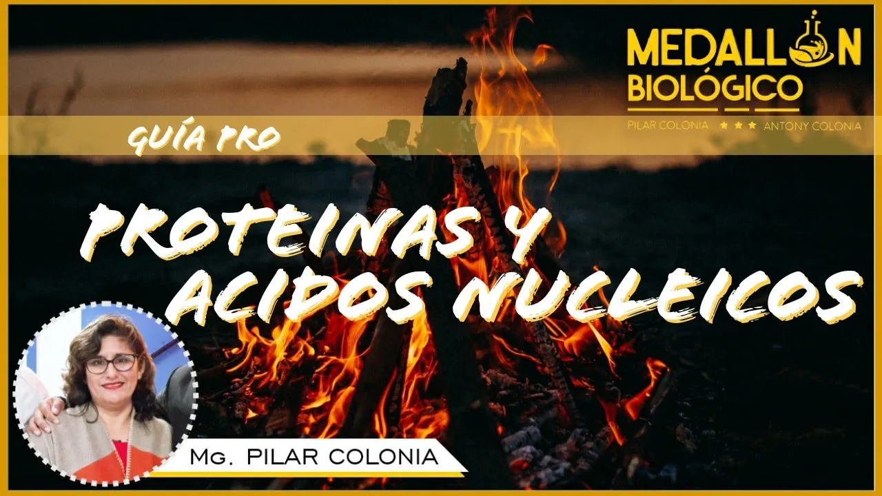 PROTEÍNAS Y ÁCIDOS NUCLEICOS//CLASES PRO