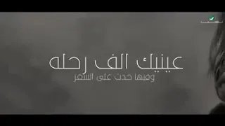 ياريتك فاهمني انغام   حالات واتس اب دندنها